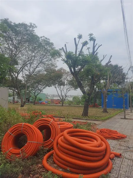 Bán lô đất 212m2 trục chính khu xuất nhập khẩu giá 66 triệu/m2