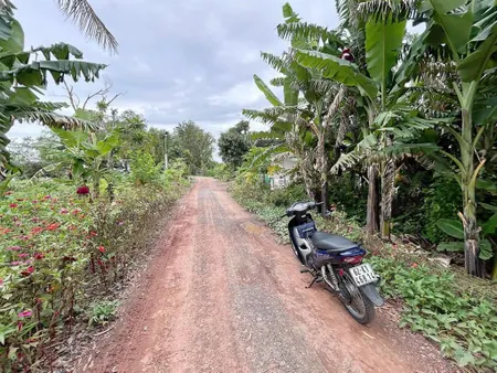 Bán 3 lô đất thổ đường bờ đê 10m, view sông vàm cỏ thuộc bình quới, châu thành, dt 5.5 x 32m