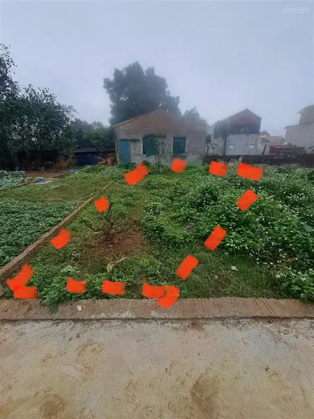 Chính chủ bán đất thổ cư đông hải thọ an đan phượng ô tô vào nhà sổ hồng riêng
