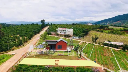 Sở hữu lô đất săn mây ven đà lạt, giá chỉ 540 triệu sẵn sổ sẵn thổ cư