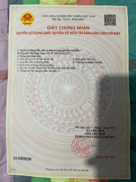 Siêu phẩm đất thổ cư full ngay mặt tiền ấp mỹ thạnh bắc, đức huệ, long an giá tốt chỉ 1.5 tỷ