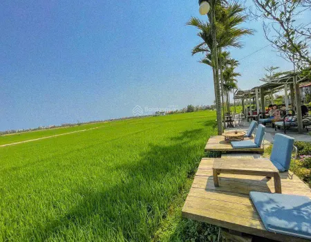 Đất mt đường lý thái tổ, view lúa. hội an. dt 193m2 ngang 6m5