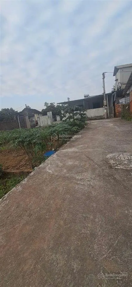 Cần thanh khoản lô đất 107m2, ở trạch mỹ lộc, phúc thọ, hà nội