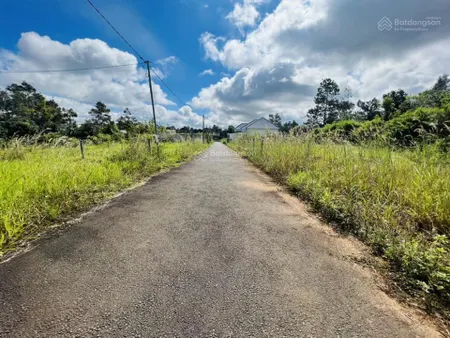 Bán lô đất diện tích rộng hẻm ô tô thông thoáng gần trung tâm hẻm triệu quang phục bảo lộc