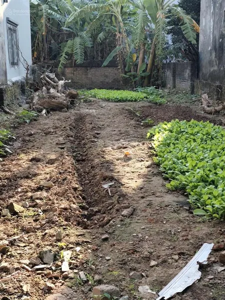 Bán đất vạn phúc, thanh trì 52m, giá 2,7 tỷ ô tô đỗ cửa, đón đầu dự án thành phố ven sông.