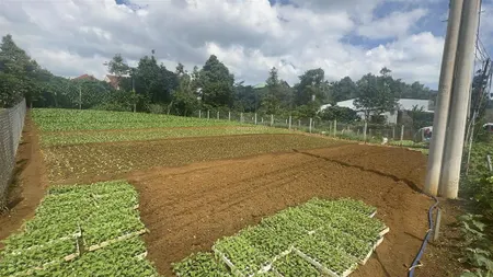 Bán đất hẻm 56 chi lăng, lộc sơn bảo lộc, sát ngay trung tâm bảo lộc, view cao thoáng cực đẹp