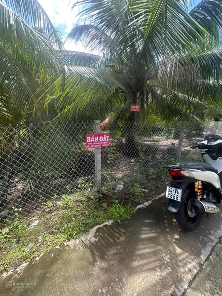 Bán nền biệt thự trung tâm tp. bến tre (500m2 ngang 11m)