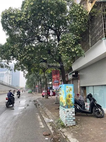 Chính chủ bán đất mặt đường kim mã lô góc 2 thoáng mặt tiền 7m hiếm có khó tìm