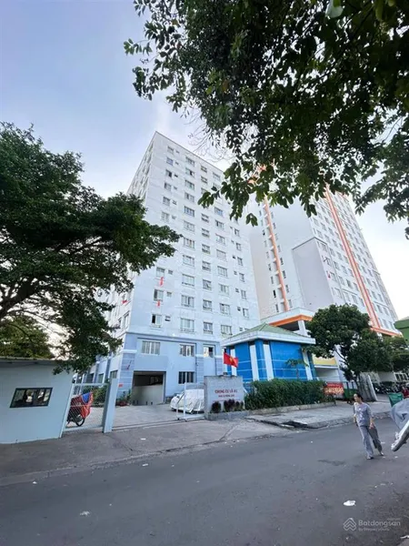Bán căn hộ chung cư bông sao phường 5, q8
