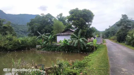 Siêu phẩm bám đường tỉnh lộ cực đẹp đi khu dl bakhan tân lạc hòa bình giá rẻ chỉ 600tr