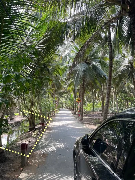 Vườn dừa 300m2 tại tân phú đông giá 350tr đường ô tô, quy hoạch thổ cư, khí hậu chữa lành