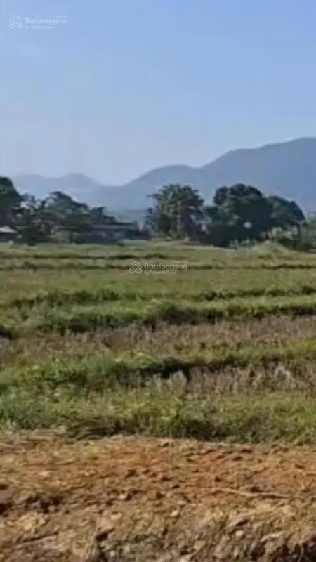 Bán đất chính chủ ,xóm cháu tu lý đà bắc