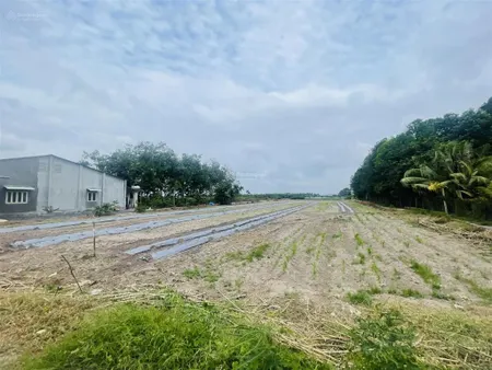 Chính chủ cần bán đất 13000m2 có thổ cư. đất nở hậu đẹp. xã phước minh, dương minh châu, tây ninh