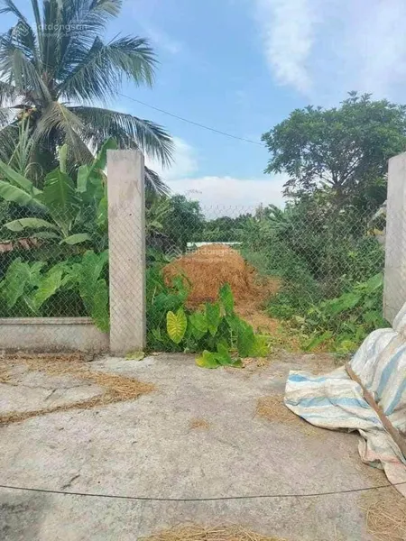 Bán đất nền mặt tiền quốc lộ 80, xã bình thành, lấp vò, đồng tháp