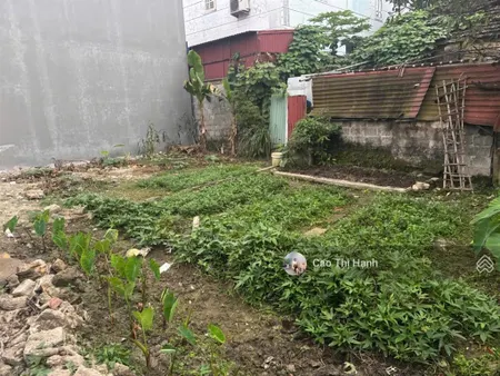 40,7m2 đất ngõ 285 hoàng quốc việt ngang 5,9m giá chỉ 850 triệu