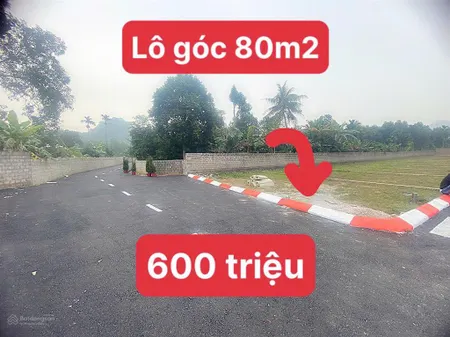Gia đình cần tiền bán gấp lô 80m2 tại cao dương lương sơn (phú thọ) giá chỉ 600 triệu