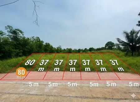 Bán 5 lô đất đẹp suối nghệ giá cực tốt