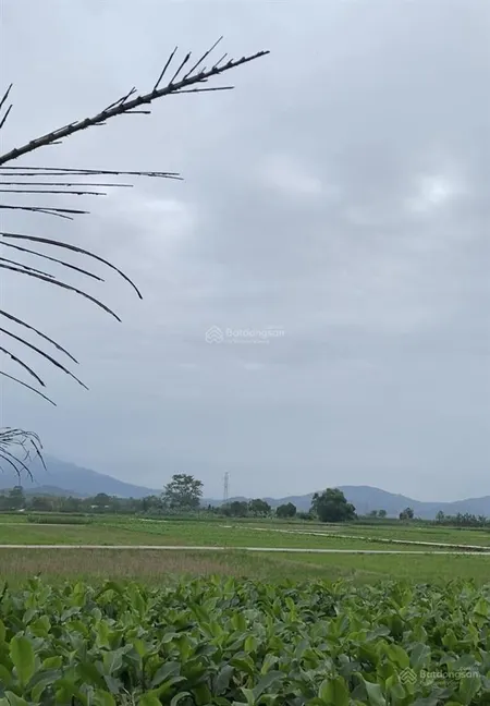 Tôi bán lô đất nhỏ view cánh đồng siêu đẹp, dt 1100m2, mặt tiền tới 35m tại khánh thượng, ba vì
