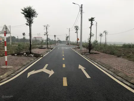Bán đất đấu giá trạch mỹ lộc ô góc ô thường. giá để anh em đầu tư được ạ!