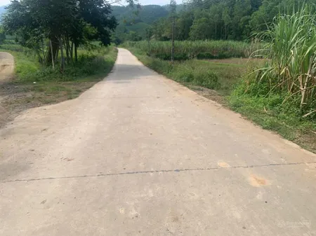 Bán đất tại xã phùng minh, ngọc lặc, thanh hóa, 486 triệu, 120m2