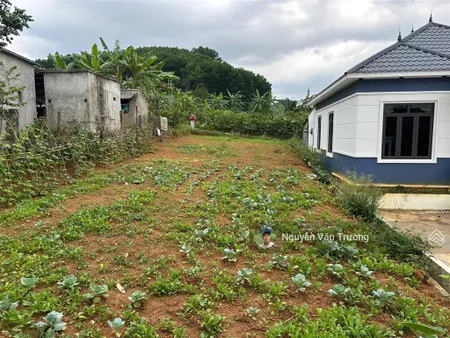 Bán gấp 300m2 đất thị trấn cao phong, hòa bình mặt đường liên xã cách ql6 chỉ 700m
