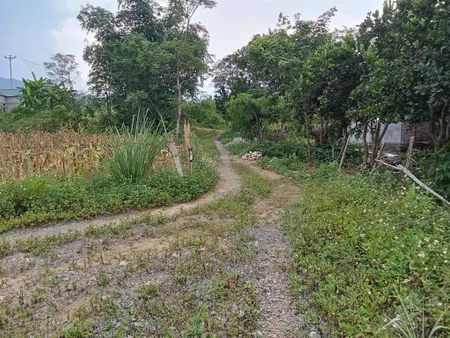 Bán đất mó la, thị trấn đà bắc, hoà bình