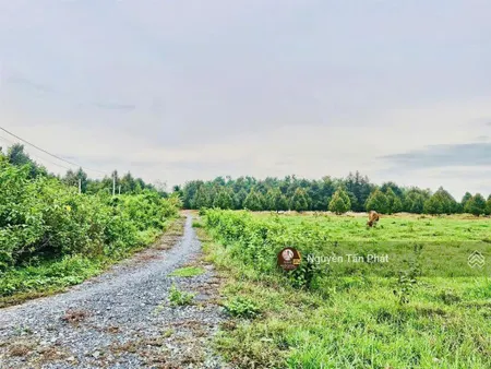 Hơn 1000m2 đường thông. ngay kcn phước đông. 850tr