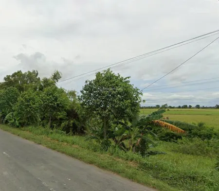 Bán đất tại đt 831, tuyên bình, vĩnh hưng, long an, 140 tỷ, 43241m2 skc