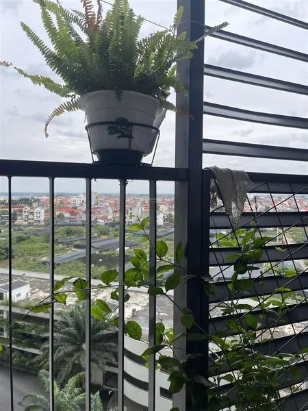 Bán căn 1 ngủ toà c westbay giá 2.990 tỷ bao phí tầng đẹp nhà mới 0961 694 ***
