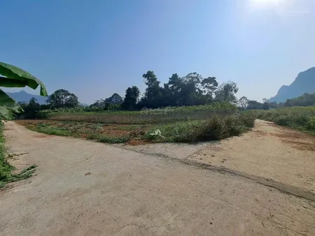 Lô đất tại thôn yên cư xã cẩm tâm huyện cẩm thủy tỉnh thanh hoá chỉ hơn 200tr