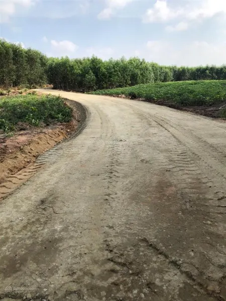 Bán 190ha đất xã tân thắng, hàm tân, bình thuận giá 2,5 tỷ/ha