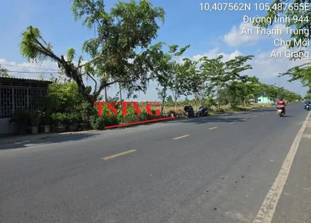 Bán đất mặt đường tl944 xã an thạnh trung, chợ mới, an giang 422.4 m2 giá thỏa thuận