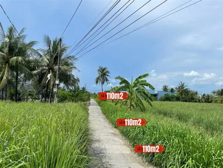 Đất thổ cư 115m² giá 225 triệu cù lao tân phú đông, ô tô vào tận nơi