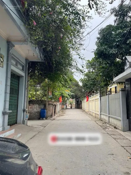 B.á.n 100m2 đất ở trưng trắc , văn lâm, hưng yên. cách ql5a chỉ 300m. đường ô tô đỗ cửa. giá rẻ