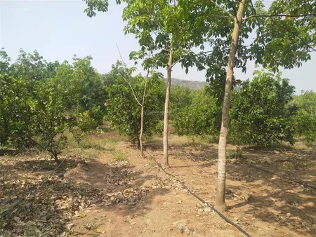 Bán đất tại cư m'lan, 2,15 tỷ, 29000m2, đắk lắk