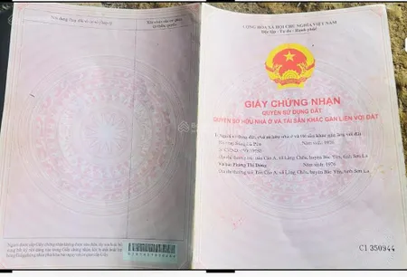 Hàng hiếm tại tà xùa, bán gấp đất 10.000m2 chỉ 3,5 tỷ