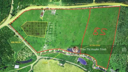 Đất rộng ôm suối vị trí cực đẹp ngay chùa di đà, giá cực mềm cho nhà đầu tư đón đầu cao tốc bảo lộc