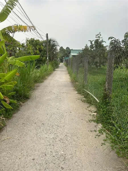 Đất vườn giá rẻ châu thị kim cầu bà lý, chợ gạo giá 696tr bao sang tên. 0919 541 ***