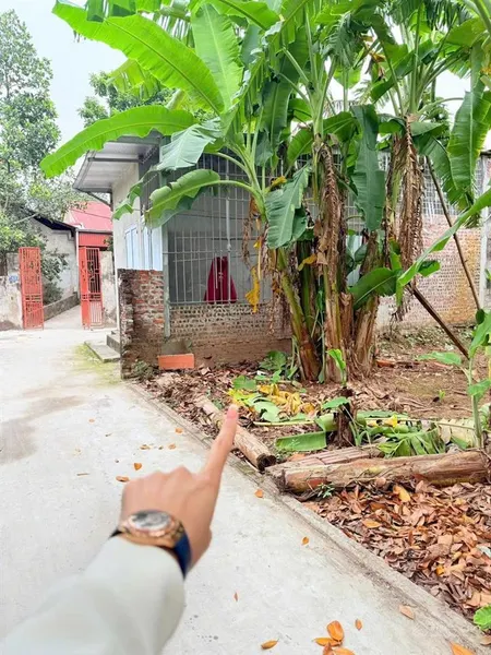 Chính chủ bán 46m hát môn phúc thọ ô tô đổ cửa