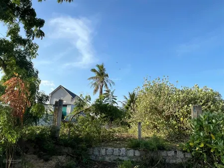 Bán lô đất mặt tiền mương bình quý ô tô, xe tải vào thoải mái tt phước dân, ninh phước