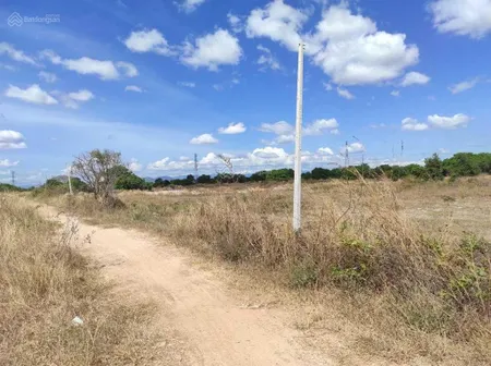Chính chủ bán 5000m2 đất nông nghiệp bình thuận