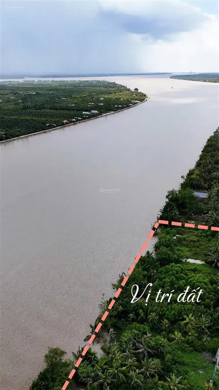 Mặt tiền sông mekong chỉ 350tr/ công (1,000m2). diện tích 4,379m2