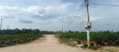 Bán đất đấu giá hoàng trạchmễ sở văn giang hưng yên