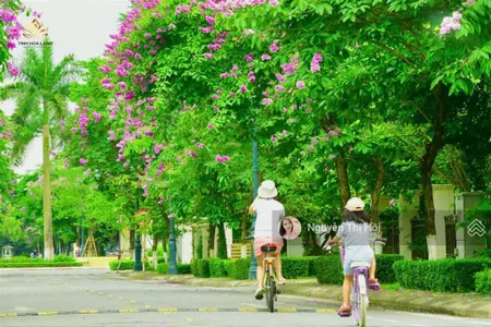 [home&land] tổng hợp quỹ căn liền kề nhà đẹp giá tốt tại splendora ( mailand city hanoi)