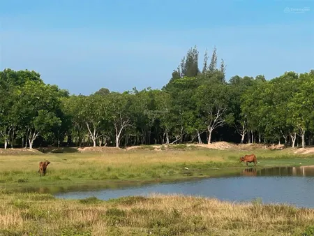 Đất siêu rộng gần sân bay 3.471 m2. mặt quốc lộ 1a, thích hợp kho bãi kinh doanh