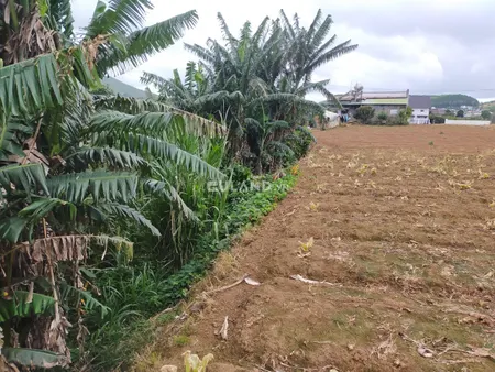 giá hấp dẫn cho lô đất đầu tư