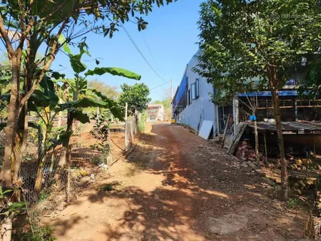 Anh chủ vừa cắt ra 30x50m vườn cao su gần chợ tân phước. tách được thêm 3 lô