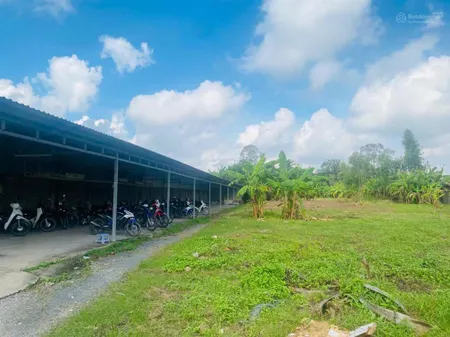 Bán nhà xưởng tại phú thọ, tân phú, huyện tam bình, vĩnh long