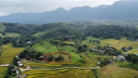 Bán 3000m2 giá rẻ đất view cánh đồng tuyệt đẹp, ngay gần đèo đá trắng hòa bình
