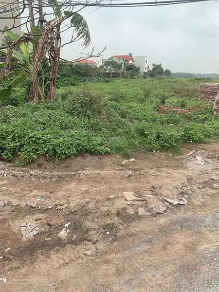 Chuyển nhượng gấp dự án hưng yên huyện ân thi hưng yên
